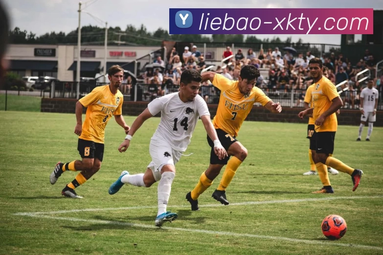 亚特兰大与罗马比赛中边裁遭鞭炮炸伤幸好无大碍